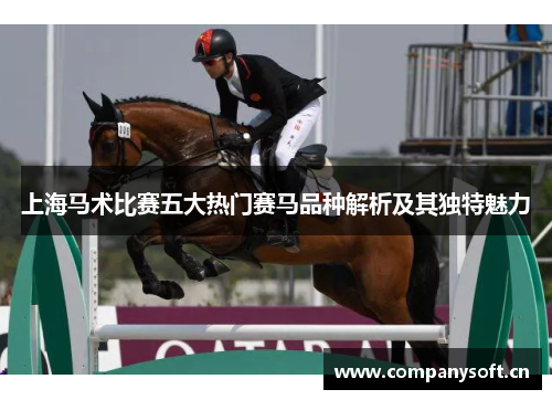 上海马术比赛五大热门赛马品种解析及其独特魅力