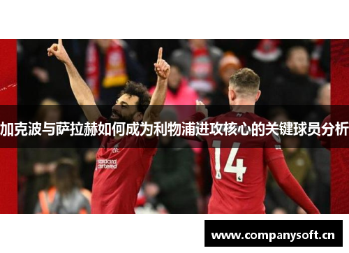 加克波与萨拉赫如何成为利物浦进攻核心的关键球员分析