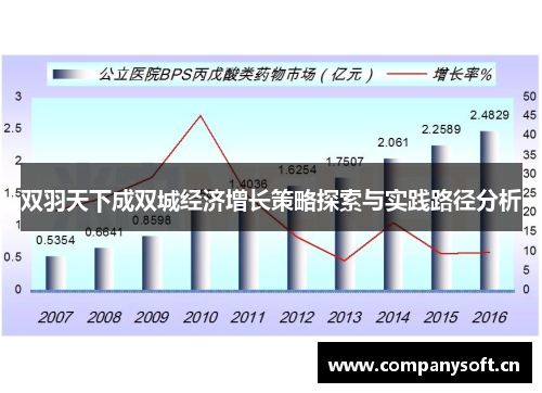 双羽天下成双城经济增长策略探索与实践路径分析