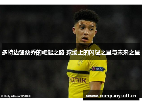 多特边锋桑乔的崛起之路 球场上的闪耀之星与未来之星