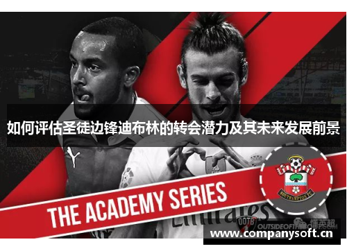 如何评估圣徒边锋迪布林的转会潜力及其未来发展前景